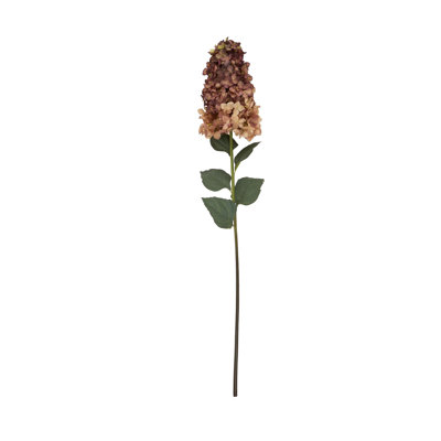 Anastasija Arrangement