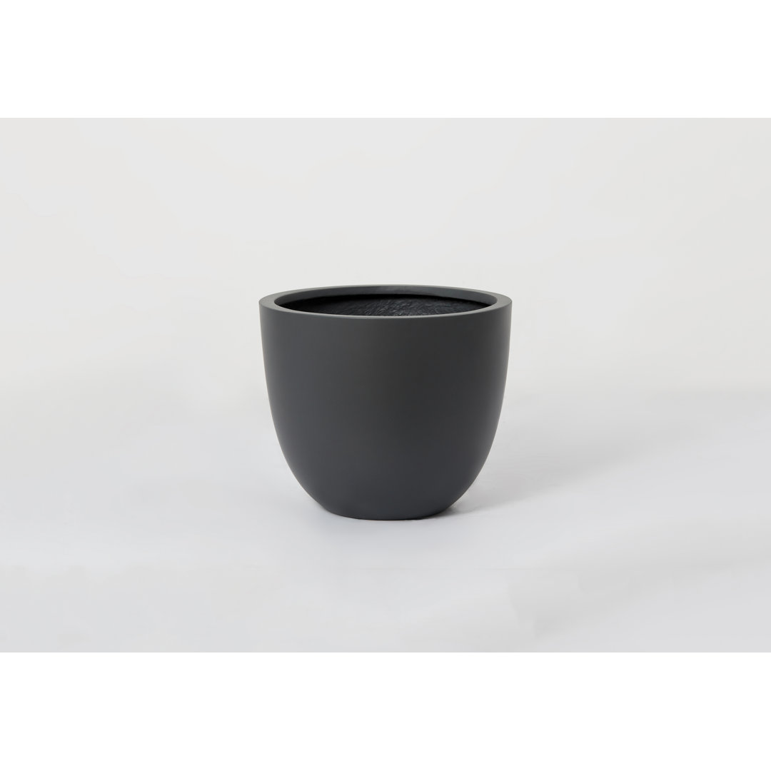 Finy Pot Planter Ebern Designs 
