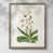Walnut Framed Paper is unavailable