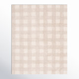 Barclay Plaid Hand Woven Flatweave Cotton Area Rug in Beige