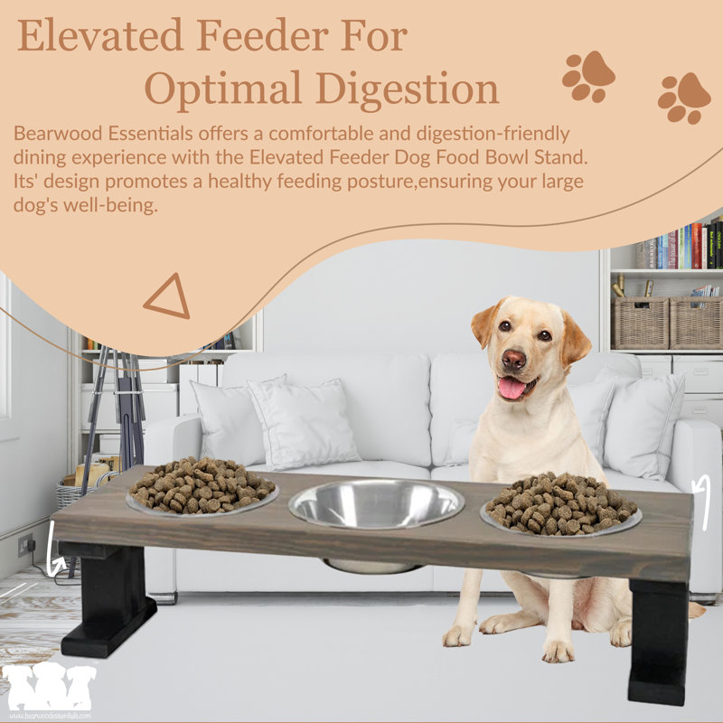 Elevated Feeder, Medium (12"), Black/Ebony