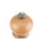 Wood Salt Mill-884466148