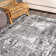 Tapis gris Phocas
