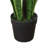 Snake Plant Drop-In
