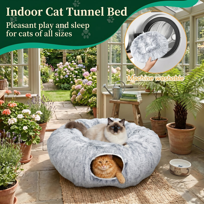 8 pièces de bâtons de silvervine et jouet à corde à mâcher pour chat avec sac d'herbe à chat naturel rechargeable, jouet interactif de nettoyage des dents pour chats et chatons d'intérieur