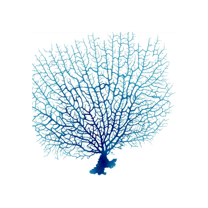 «Blue Seafan Coral IV» par Sofia Fox - impression, Plexi, H 36 po x l 36 po