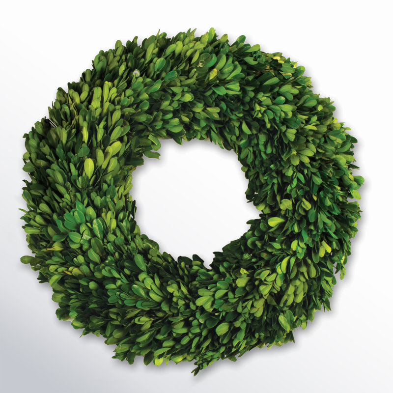 Alby Preserved Boxwood Real Greenery Wreath, 16" H x 16" W x 2.75" D