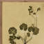 Petite Study No. VI Painting by Hannah Winters-253456447