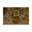 Shamas Oriental Area Rug