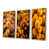 Gold Floater Framed selected