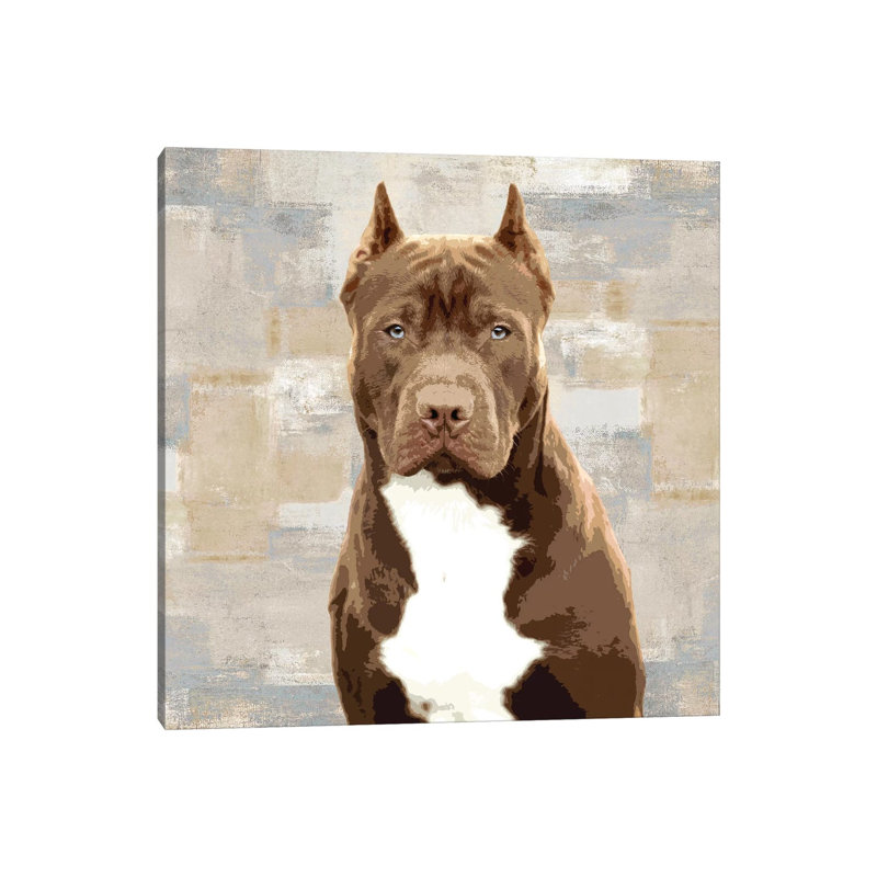 Pit Bull 1 Piece Wrapped Canvas Wall Art, 45.72 cm H x 45.72 cm W