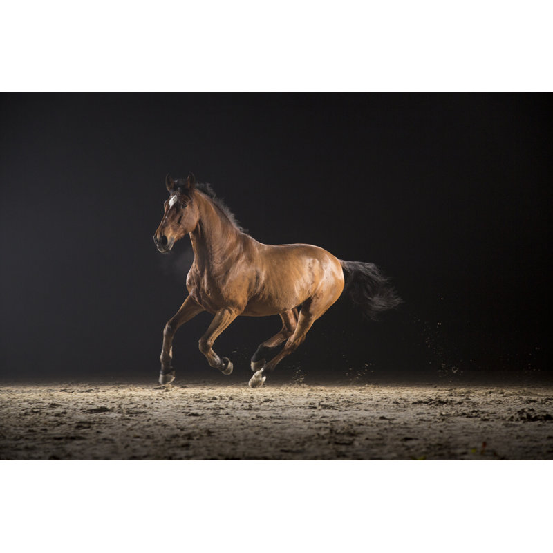 Horse Galloping by Simonkr - Wrapped Canvas Print, 20cm H x 30cm W