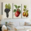 Antique Fruit 8 - Toile tendue avec châssis sur mesure - 3 pièces-1591884509