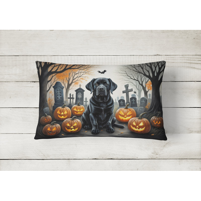 Other/No Pattern Outdoor Throw Pillow