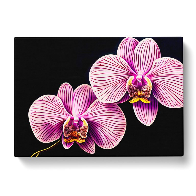 Head Turning Orchid Flowers - Wrapped Canvas, 40cm H x 60cm W x 3cm D