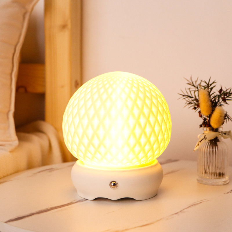 Wrought Studio™ Ceramic Touch Lamp