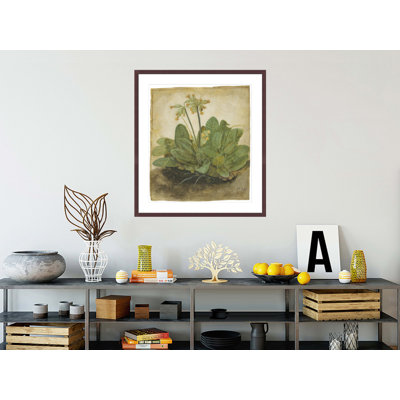 «Touft of Cowslips» par Albrecht Dürer, impression giclée sur cadre