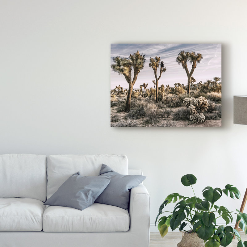 « views of joshua tree ix », reproduction de photo sur toile tendue, H 18 po x l 24 po x P 2 po