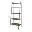 Bernadette 183cm H x 72cm W Steel Ladder Bookcase-1386685895