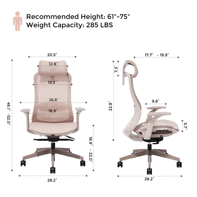 Ergonomic Mesh Task Chair, Adjustable Office Chair with 2D Headrest & 3D Armrest, Office Desk Chair with Lumbar Support, Recline Function,Pink