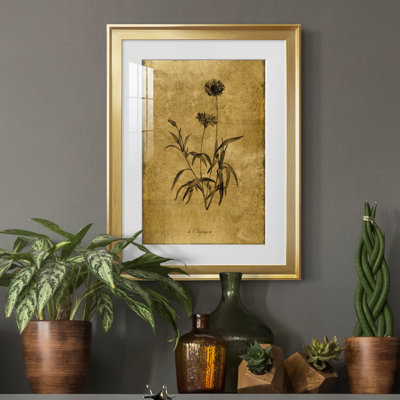 " Gold Sketch Botanical I " Painting Print