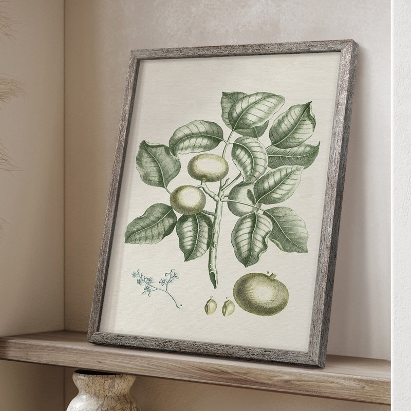 Buchoz Tropicals I Framed Print - Solid Wood, 21" H x 17" W