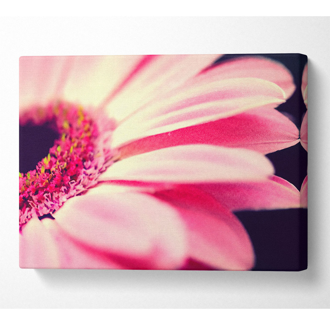 Gerbera Pink Petal Close-up - Kunstdrucke auf Leinwand