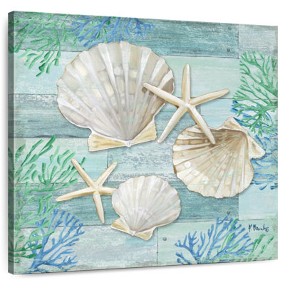 Aletra Clearwater Shells III