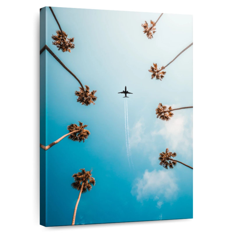 Voyage en avion Mehar, H 45 po x l 30 po