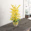 Arrangements floraux en pot Triple Dancing Lady Silk Orchids-647025413