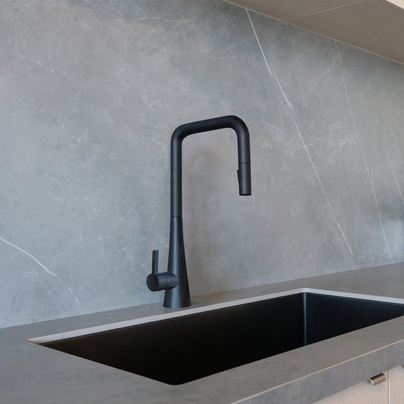 AGUA CANADA Master Pull Down Kitchen Faucet