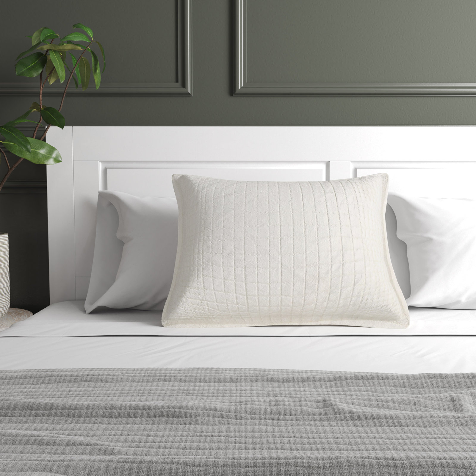 Cody Cotton Shams, Standard/Twin