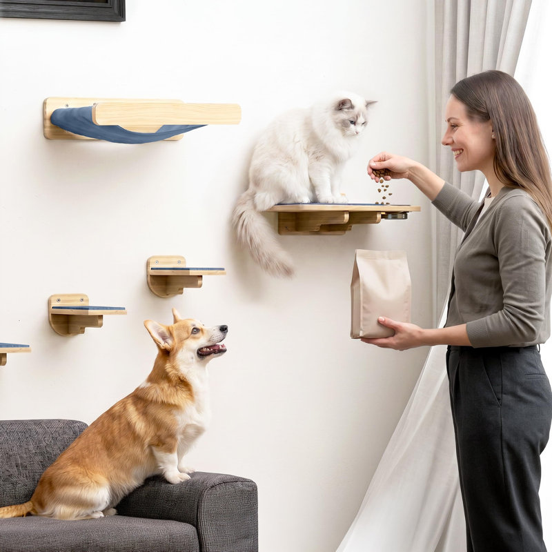 Ensemble de tablettes murales en bois massif 5 pièces avec poste d'alimentation pour chien, lit hamac et marches tapissées