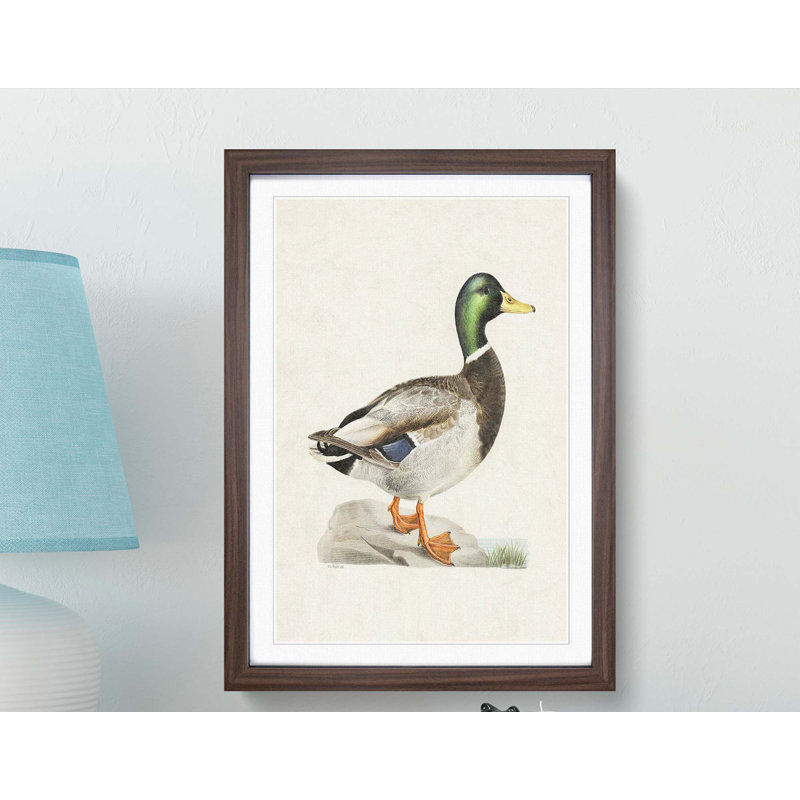 Male Mallard Duck by Von Wright - Picture Frame Art Print, 76cm H x 50cm W x 2cm D, Walnut