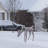 Frosted Feeding Doe Lighted Display