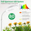 Naomi Grow Light