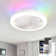 Hemion 19.6" RGB Ceiling Fan with Led Lights and Remote Control