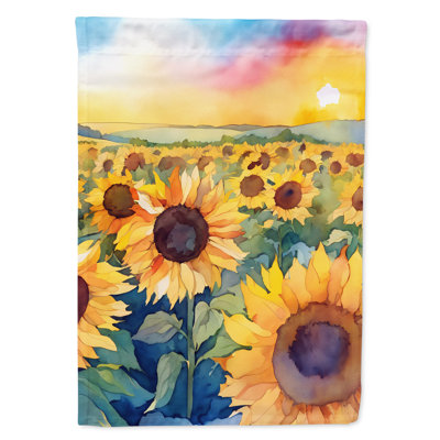 Double Sided 40'' H x 28'' W Polyester House Flag