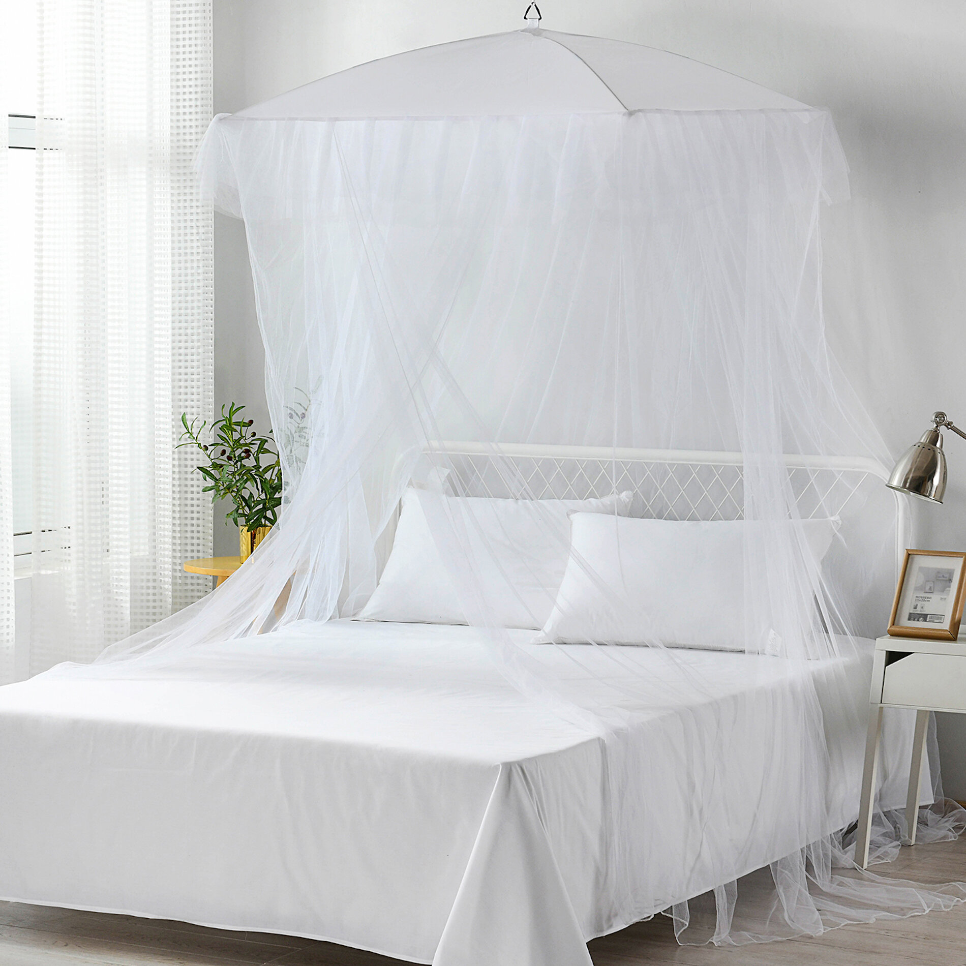 Casablanca Sultana Bed Canopy & Reviews | Wayfair