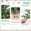 Arbre de Noël réaliste en polyéthylène pour table avec base stable remplie de ciment