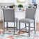 Ashvini 25" Counter Stool