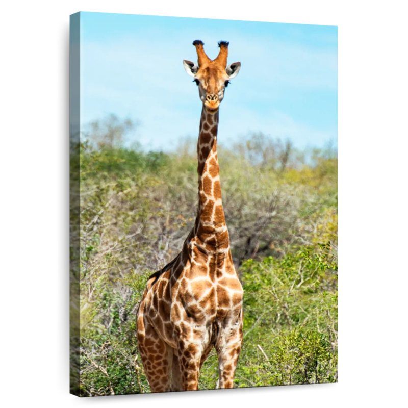 Brampt Awesome Afrique du Sud - Portrait de girafe I, H 36 po x l 24 po