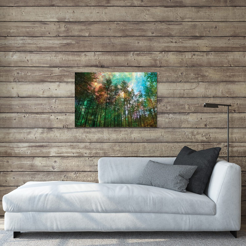 «Forest Glow» par Ros Berryman, impression sans cadre, H 16 po x l 24 po x P 0,25 po