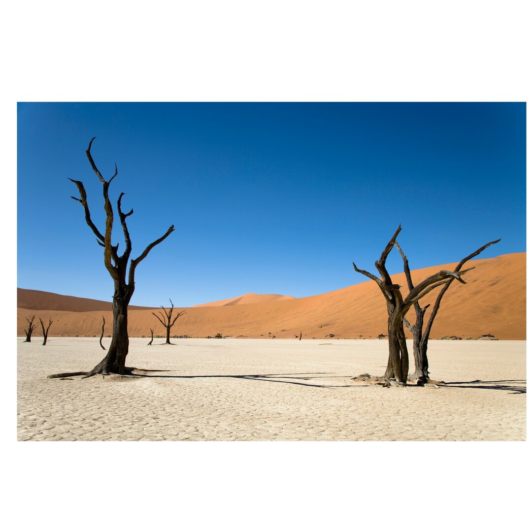 Fototapete Sossusvlei-Wüste