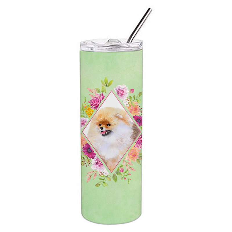 20oz. Stainless Steel Double Wall Glass, Beige Pomeranian, Green