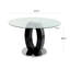 Table de salle à manger de 47,2 po en verre transparent de luxe moderne pour 4 à 6 personnes, table de cuisine moderne avec plateau en verre trempé et pieds en acier inoxydable, table de salle à manger circulaire pour la maison, le salon, l’appartement-1903597705-1895736816