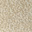 Alpaca Boucle-1678938920