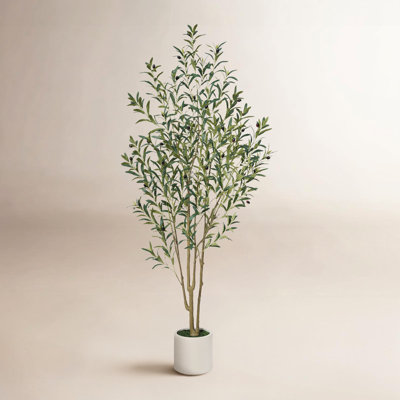 George Artificial Olive Tree in Round Planter, UV Protected Faux Olive Tree for Indoor Home Decor