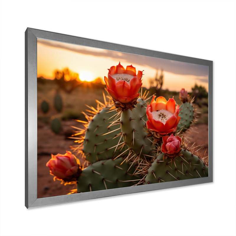 Champ de cactus rouge et vert avec coucher de soleil II - impression, H 34 po x l 44 po x P 1,5 po, Cadre photo argenté