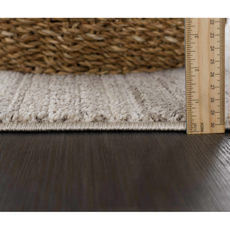 Brenia Farmhouse Moroccan Beige Area Rug, Rectangle 5'3" x 7'